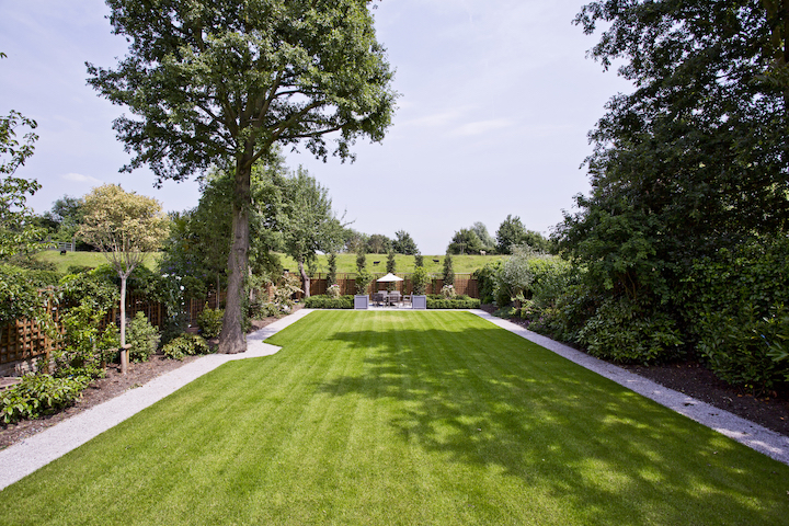 Long lawn surrounded by trees