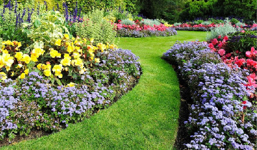 Garden with multiple flowerbeds which a path